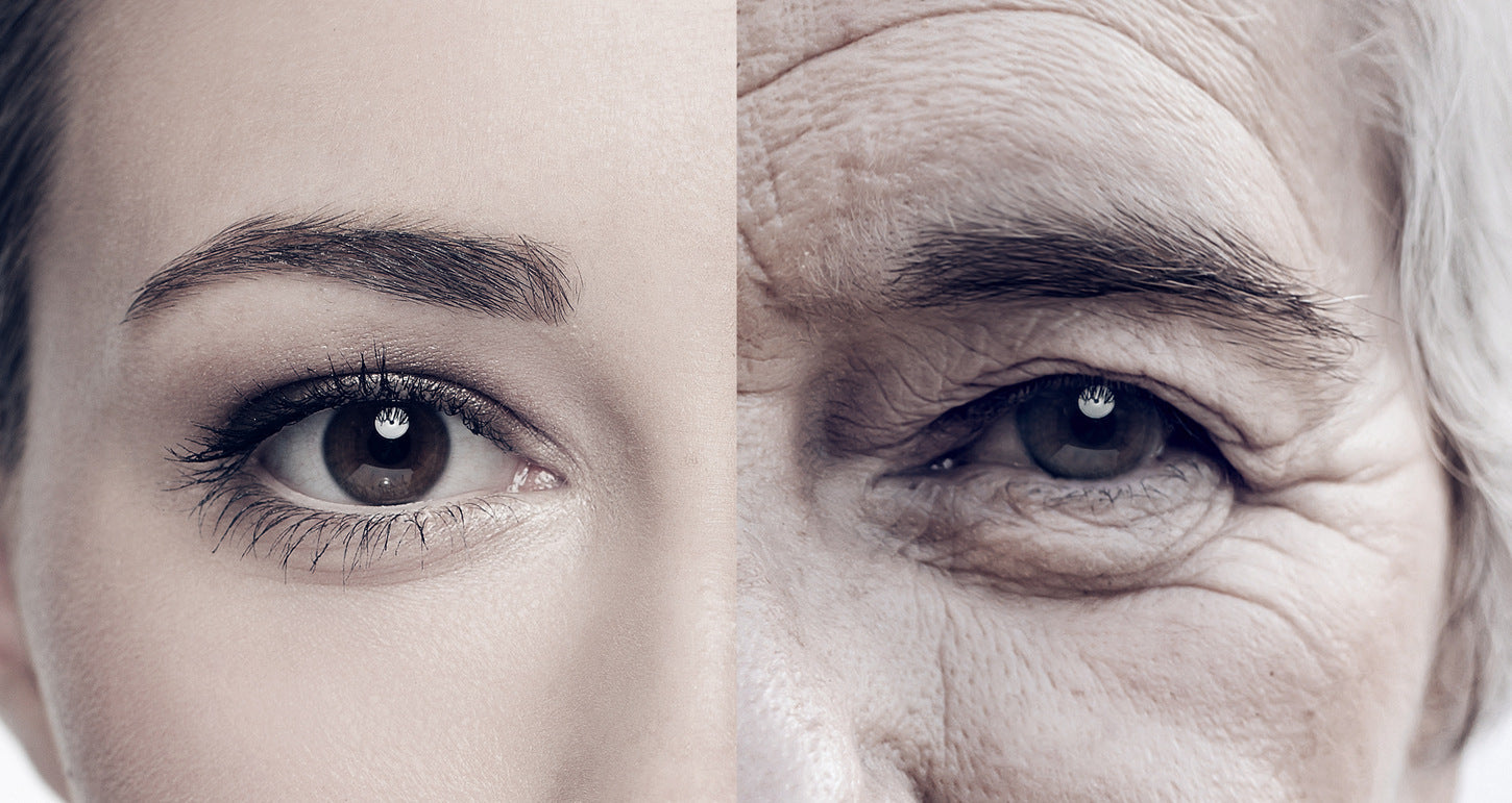 Anti-Couperose Concentrate – Beruhigung und Anti-Aging in Einem